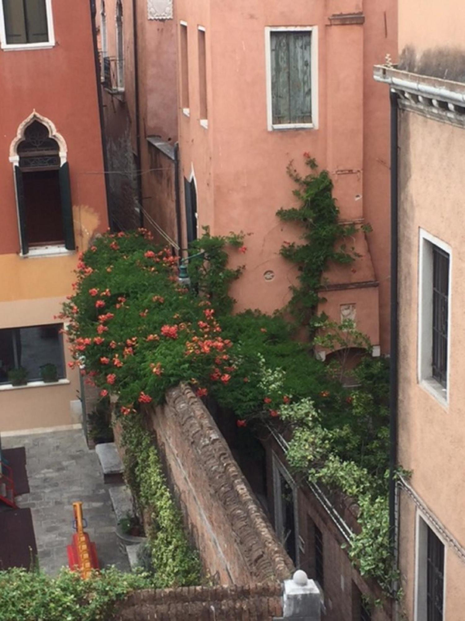Venice Palace Tintoretto By Wonderful Italy 部屋 写真